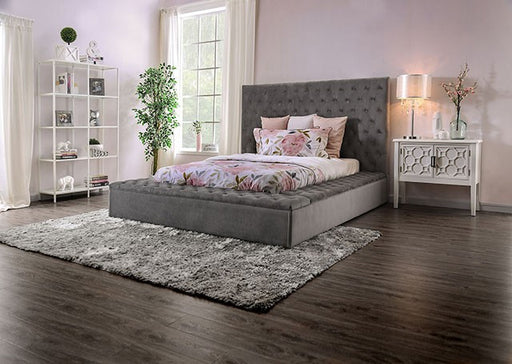 Furniture of America - Golati Queen Bed in Gray - CM7895GY-Q - GreatFurnitureDeal