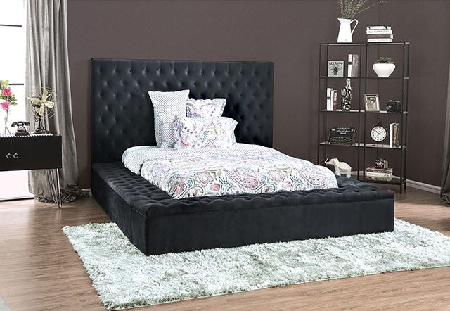 Furniture of America - Davida California King Bed in Dark Gray - CM7897DG - GreatFurnitureDeal