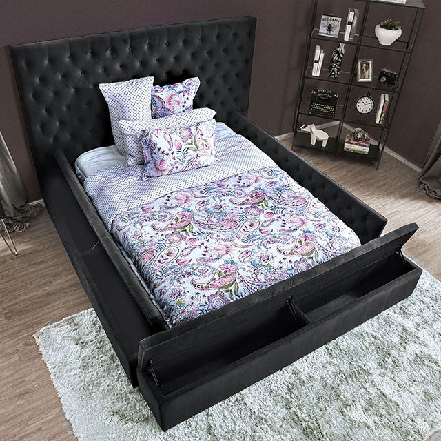 Furniture of America - Davida California King Bed in Dark Gray - CM7897DG - GreatFurnitureDeal
