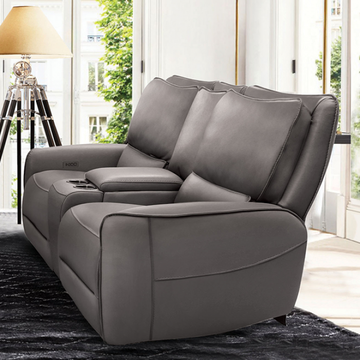 Furniture of America - Phineas Loveseat in Gray - CM9921GY-LV-PM