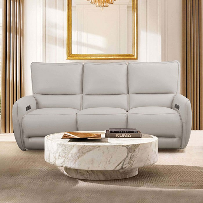 Furniture of America - Phineas Sofa in Beige - CM9921ST-SF-PM - GreatFurnitureDeal
