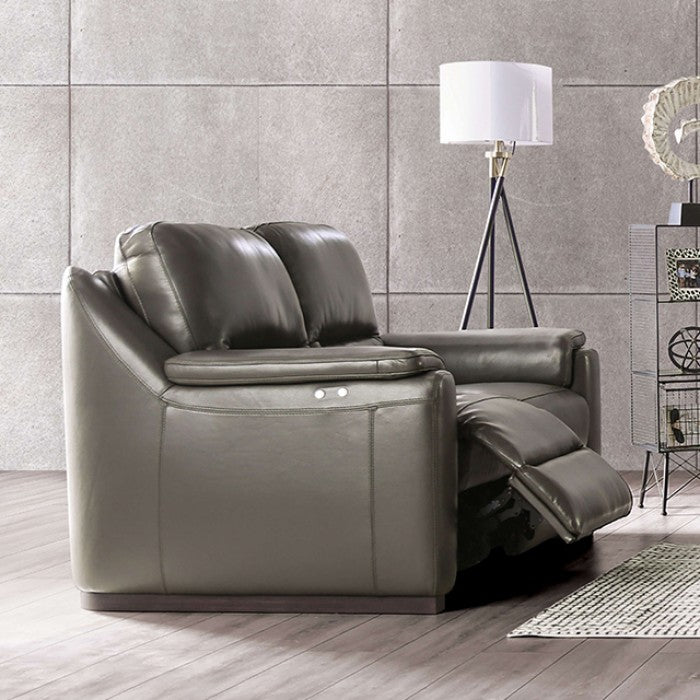 Furniture of America - Altamura Power Loveseat in Gray - FM90002GY-LV-PM-PK - GreatFurnitureDeal