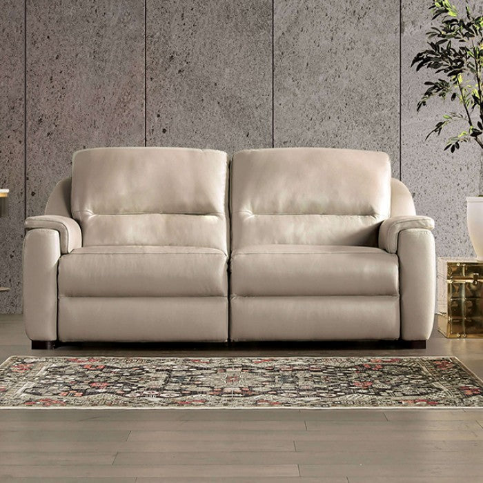 Furniture of America - Altamura Power Loveseat in Taupe - FM90002TP-LV-PM-PK - GreatFurnitureDeal