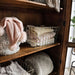Furniture of America - Galanthus  Bookcase in Weathered Natural Tone - FOA51022 - GreatFurnitureDeal