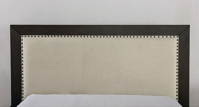 Furniture of America - Sligo Queen Bed in Dark Gray, Beige - FOA7893