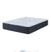 Serta Mattress - Perfect Sleeper Blue Lagoon Nights Cal King Mattress - PSL23 BLUE LAGOON NIGHTS PL PT - CAL KING-MATTRESS - GreatFurnitureDeal