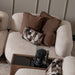 AICO Furniture - Bristol Point Corner Unit in Saddle Brown - LFR-BSTL884-FWN-226 - GreatFurnitureDeal