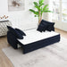 Acme Furniture - Irina Sofa w/Sleeper - LV03890 - GreatFurnitureDeal