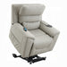 Acme Furniture - Marsha Power Recliner w/Lift & Massage - LV04273 - GreatFurnitureDeal