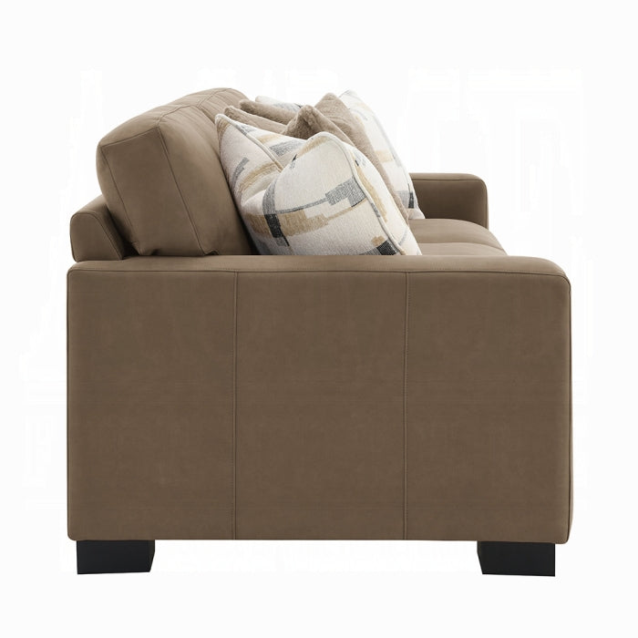 Acme Furniture - Darya Sofa w/4 Pillows - LV04530 - GreatFurnitureDeal