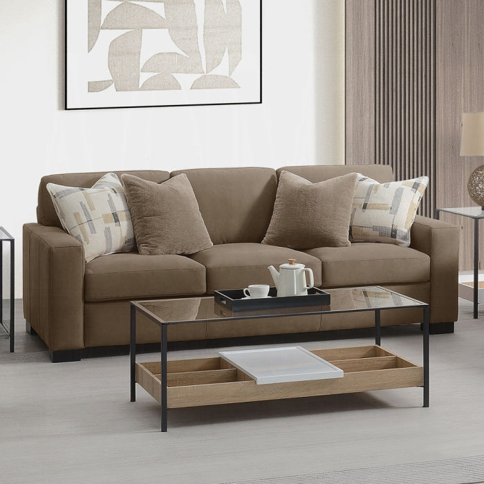 Acme Furniture - Darya Sofa w/4 Pillows - LV04530 - GreatFurnitureDeal