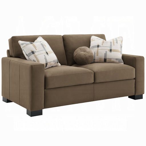 Acme Furniture - Darya Loveseat w/3 Pillows - LV04531 - GreatFurnitureDeal