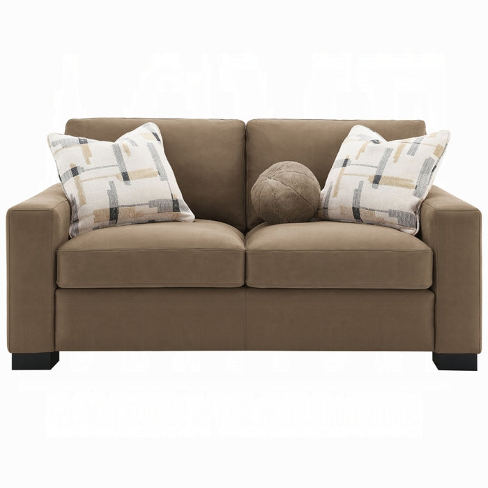 Acme Furniture - Darya Loveseat w/3 Pillows - LV04531 - GreatFurnitureDeal