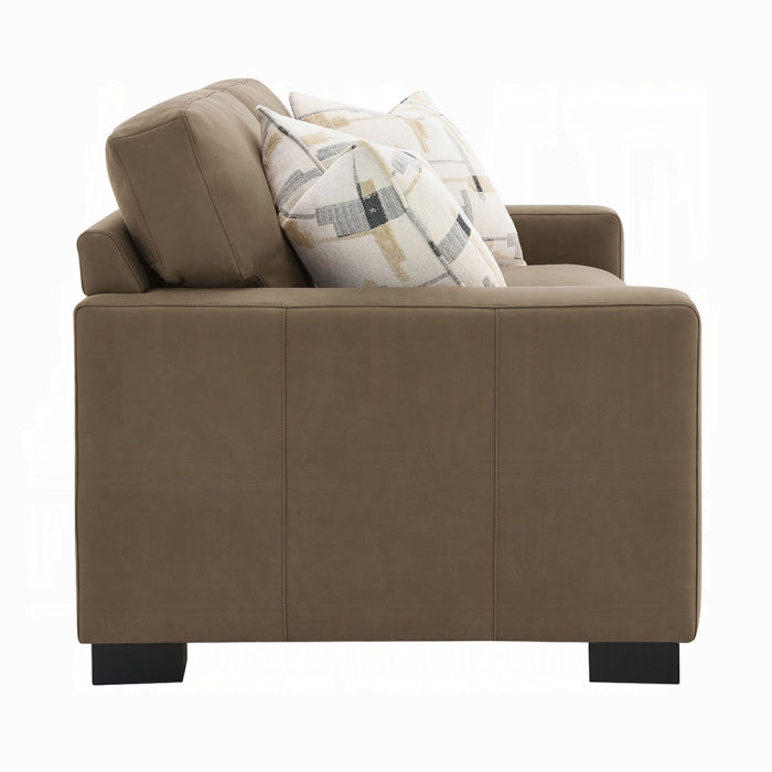 Acme Furniture - Darya Loveseat w/3 Pillows - LV04531 - GreatFurnitureDeal