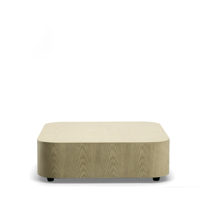 VIG Furniture - Modrest Teller Modern Square Low Coffee Table - VGOD-259CW-B-CT - GreatFurnitureDeal