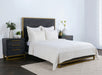 Classic Home Furniture - Bari Velvet Cloud Euro Sham -Set of 2- V160012 - GreatFurnitureDeal