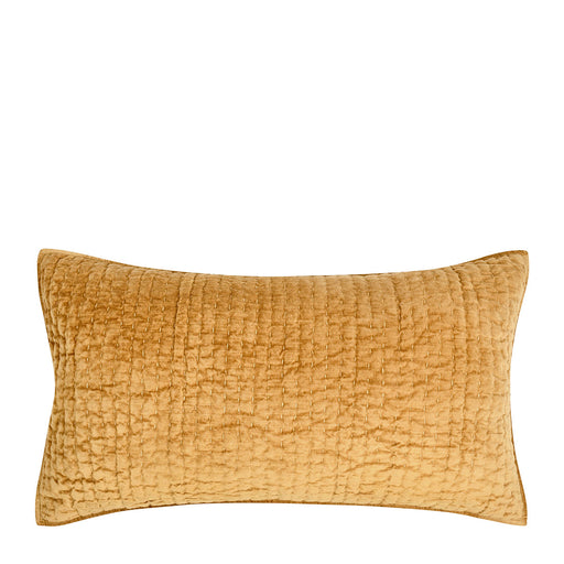 Classic Home Furniture - Bari Velvet Honey Gold King Sham -Set of 2- V290188 - GreatFurnitureDeal