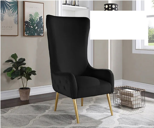 Mariano Furniture - VT003 Accent Chair in Black - BM-VT003-BLK - GreatFurnitureDeal