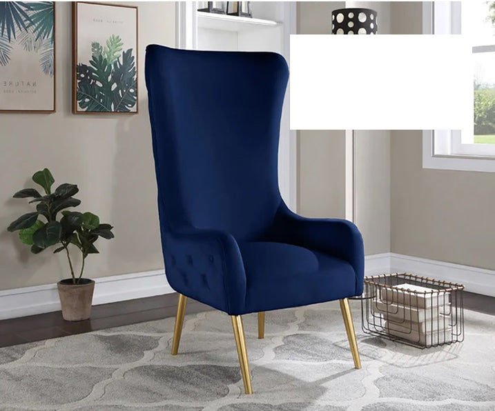 Mariano Furniture - VT003 Accent Chair in Navy Blue - BM-VT003-BLUE - GreatFurnitureDeal