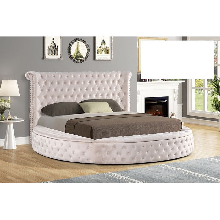 Mariano Furniture - YY138 Upholstered Velvet California King Bed in Beige - BM-YY138-BEIGE-Ck - GreatFurnitureDeal