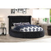 Mariano Furniture - YY138 Upholstered Velvet Queen Bed in Black - BM-YY138-BLK-Q - GreatFurnitureDeal