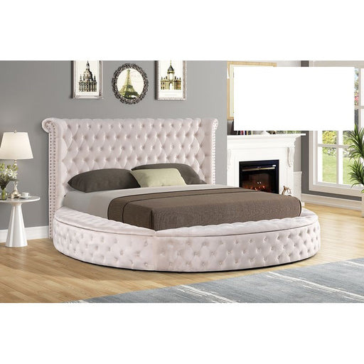 Mariano Furniture - YY138 Upholstered Velvet Queen Bed in Beige - BM-YY138-BEIGE-Q - GreatFurnitureDeal