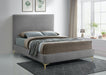 Meridian Furniture - Geri Velvet Queen Bed in Grey - GeriGrey-Q - GreatFurnitureDeal