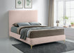 Meridian Furniture - Geri Velvet Queen Bed in Pink - GeriPink-Q - GreatFurnitureDeal