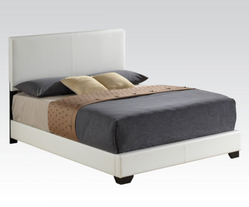 Acme Furniture - Ireland Panel Queen Bed in White - 14390Q