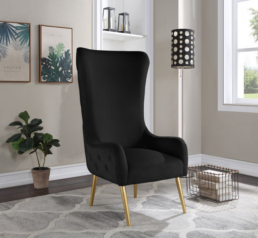 Meridian Furniture - Alexander Accent Chair in Black - 536Black - GreatFurnitureDeal