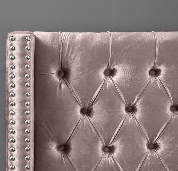 Meridian Furniture - Aiden Velvet Queen Bed in Pink - AidenPink-Q - GreatFurnitureDeal