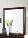 Coaster Furniture - Louis Philippe Rich Cappuccino Mirror - 202414 - GreatFurnitureDeal