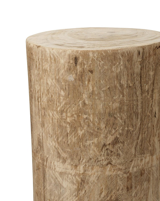 Jamie Young Company - Agave Side Table - 20AGAV-STWD