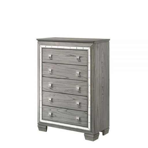 Acme Furniture - Antares Chest in Light Gray - 21826 - GreatFurnitureDeal