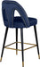 Meridian Furniture - Akoya Velvet Counter Stool Set of 2 in Navy - 795Navy-C - GreatFurnitureDeal