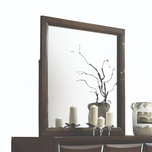 Acme Furniture - Brenta Walnut Dresser with Mirror - 26644-45 - GreatFurnitureDeal