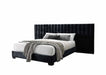 Acme Furniture - Rivas Queen Bed in Black - 27760Q - GreatFurnitureDeal