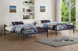 Acme Furniture - Bristol Full Over Full Size Bunk Bed - 37435 - GreatFurnitureDeal