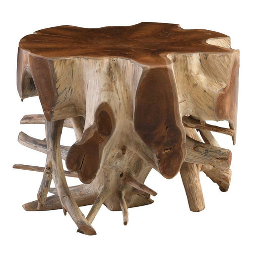 Classic Home Furniture - Groot Accent Table - 51000069