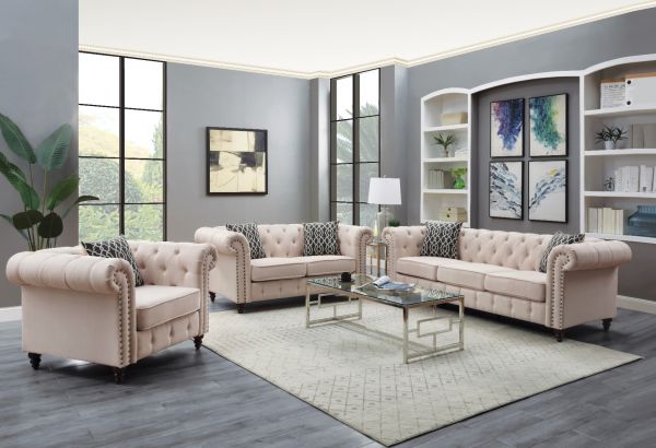 Acme Furniture - Aurelia 2 piece Sofa Set in Beige - 52420-2SET