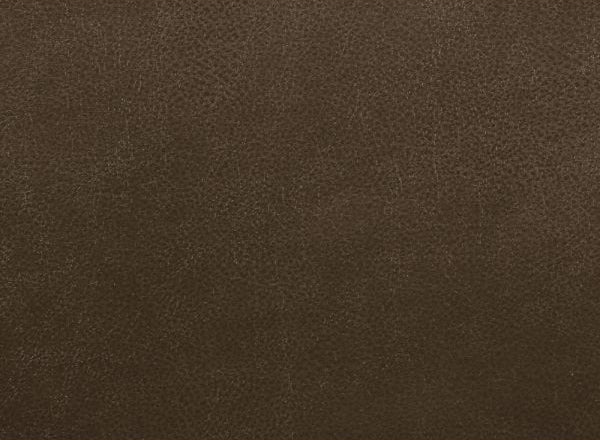 Acme Furniture - Aashi Sofa (Motion), Brown Leather-Gel Match - 55420