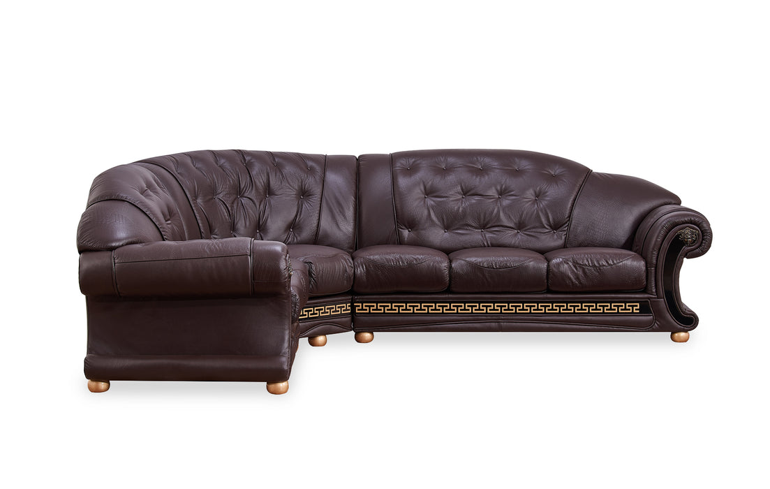 ESF Furniture - Apolo Sectional in Brown - APOLOSECT-RIGHTBROWN - GreatFurnitureDeal
