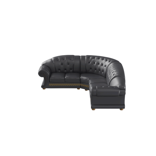 ESF Furniture - Apolo Sectional in Black- APOLOSECT-RIGHTBLAC - GreatFurnitureDeal