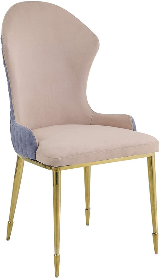 Acme Furniture - Caolan Side Chair (Set-2) in Gold - 72469 - GreatFurnitureDeal