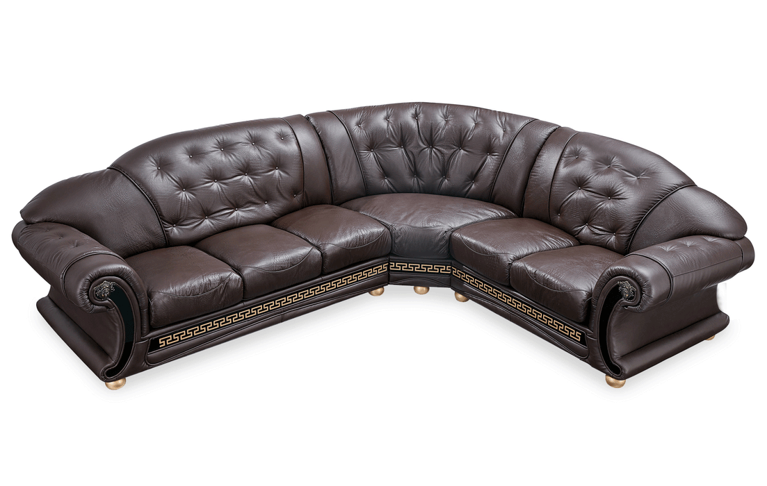 ESF Furniture - Apolo Sectional in Brown - APOLOSECT-RIGHTBROWN