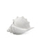 Jamie Young Company - Triton Shell in White Blown Glass - 7TRIT-SHWH - GreatFurnitureDeal