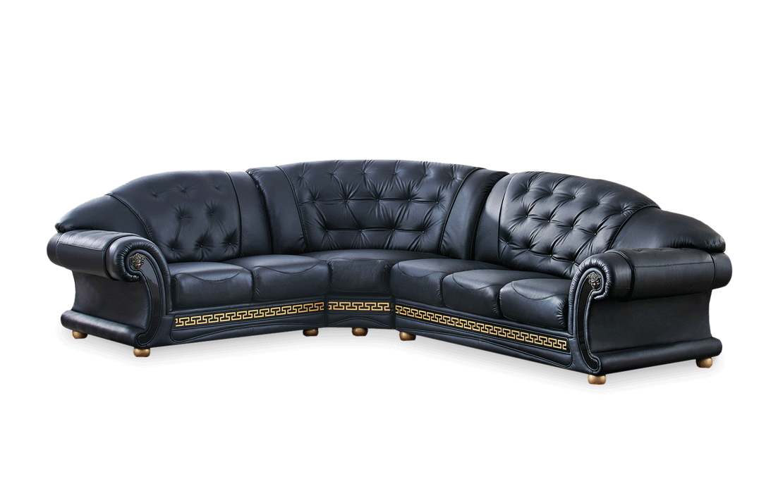 ESF Furniture - Apolo Sectional in Black - APOLOSECT-LEFTBLAC