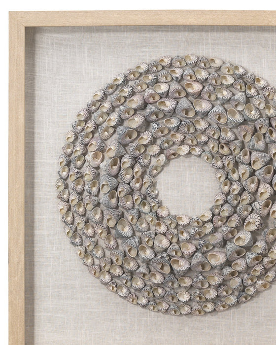 Jamie Young Company - Bora Bora Framed Wall Art in Taupe Snail Shell - 8BORA-TAUP