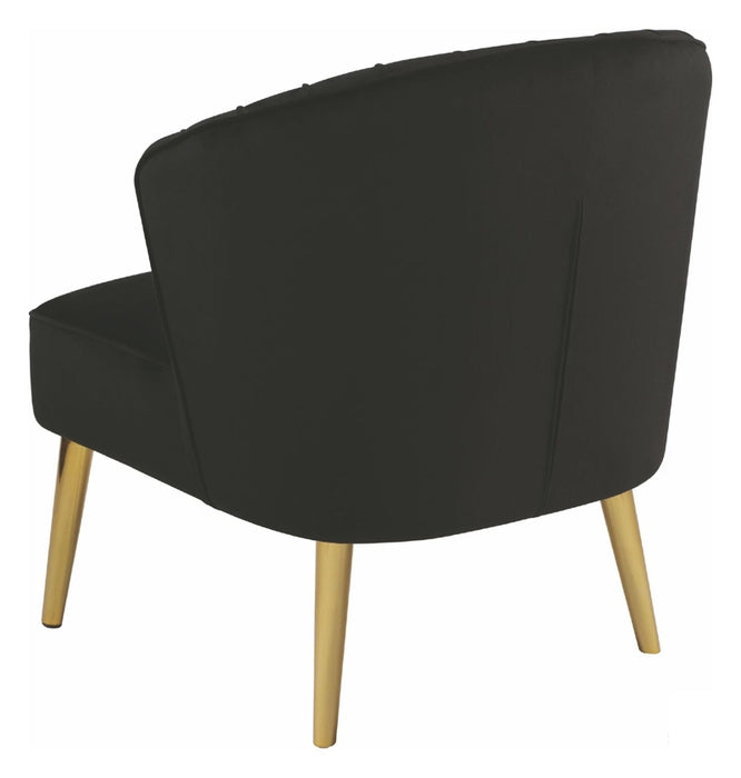 Coaster Furniture - Black Accent Chair - 903030 - Back View
