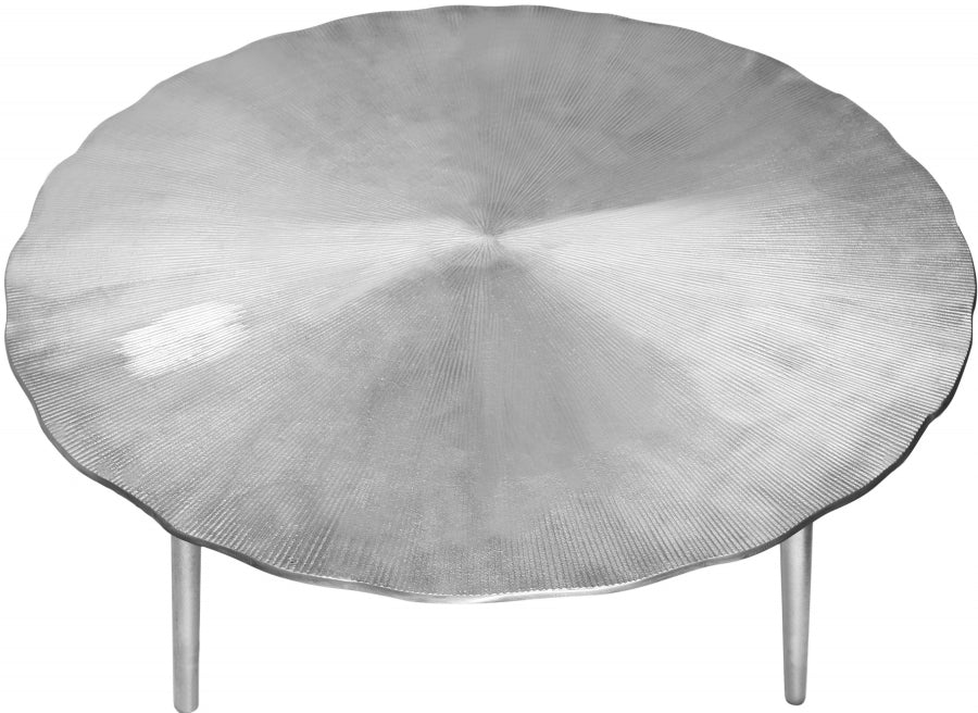 Meridian Furniture - Rohan Coffee Table in Silver - 260-CT